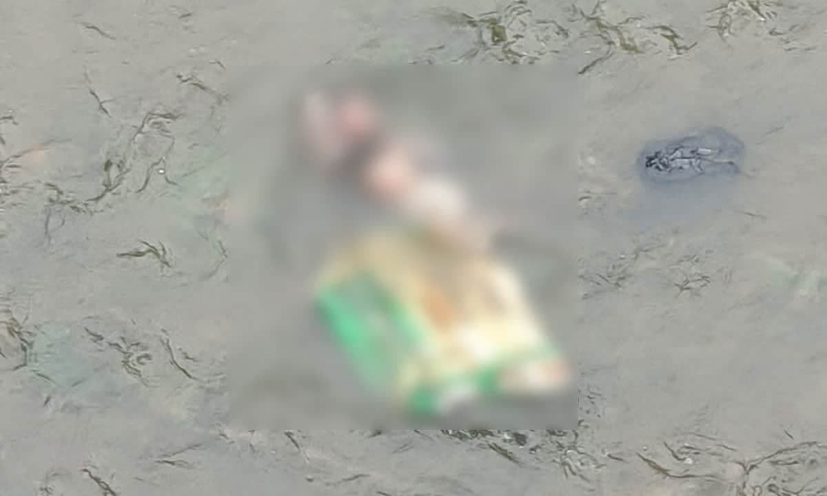 Hyderabad Shocker: Infant's Body Found in Santosh Nagar Drain; Police Launch Probe