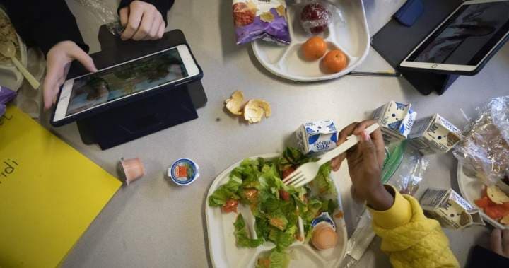 N.b. Food Bank Sees 'more And More Kids' As Questions Linger Over School Lunch Program Delay - Beritaja