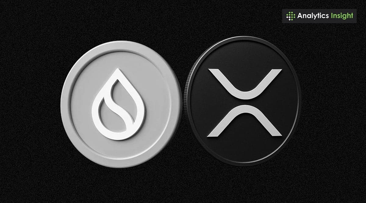 XRP and SUI Compared: Competitors or Crypto Partners?
