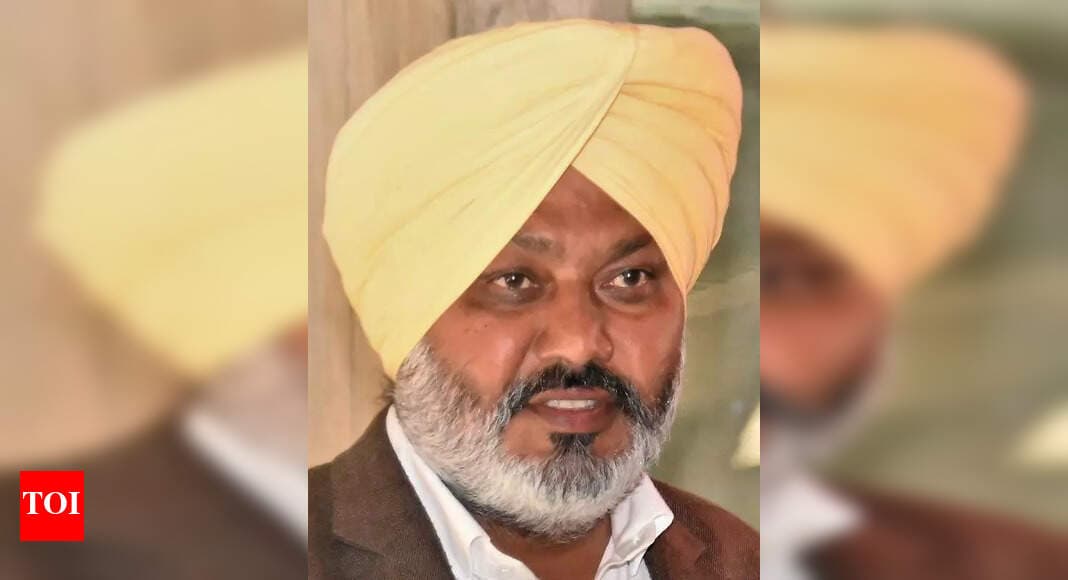 Congress working as 'BJP agent' to sabotage flood relief: Cheema | Chandigarh News - The Times of India