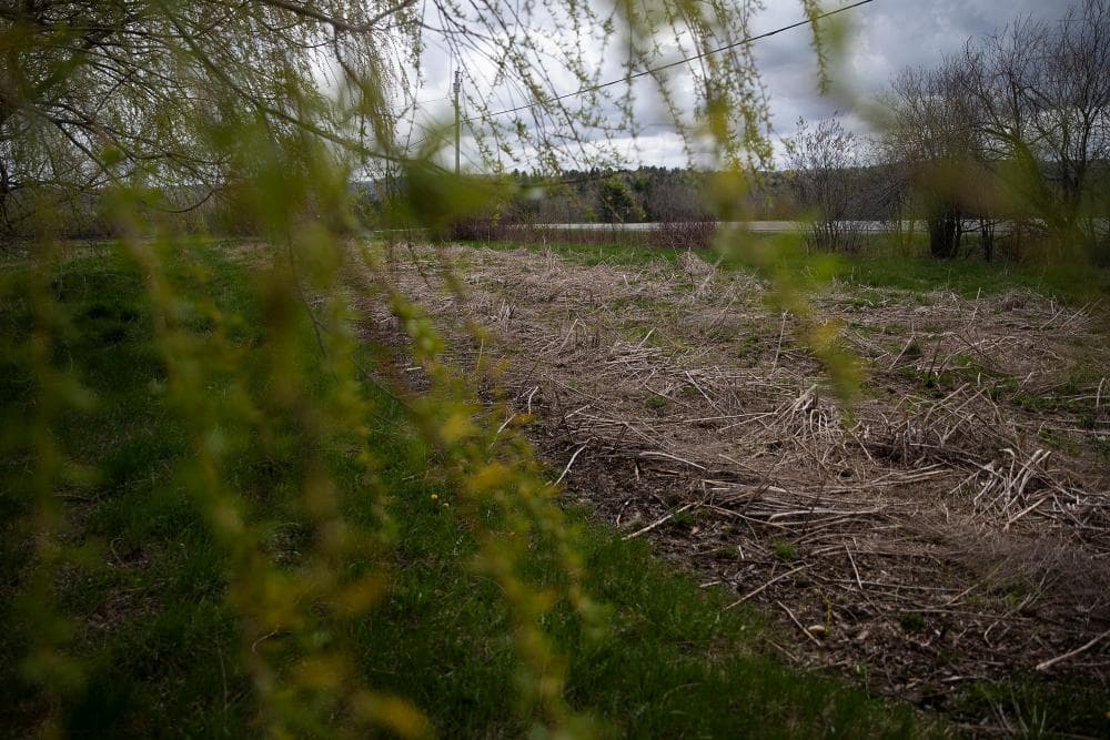 The unlikely alliance pressing Trump to regulate Pfas on US farms: 'This is a basic human right'